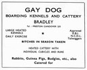 GAY DOG - Boarding Kennels